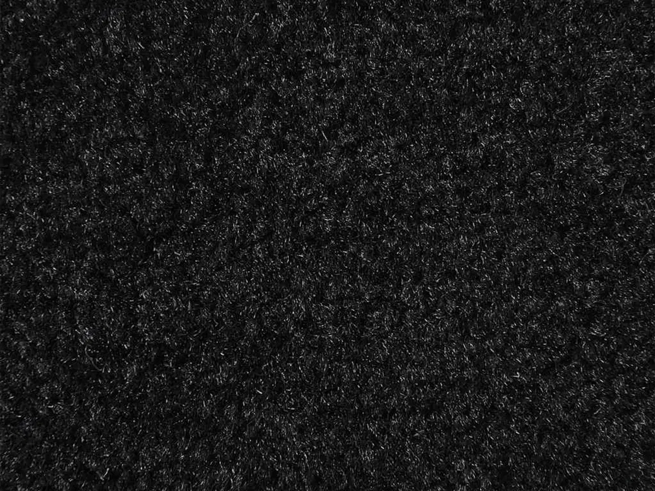 Billede 6 - Dørmåtte Sort 90x150 cm