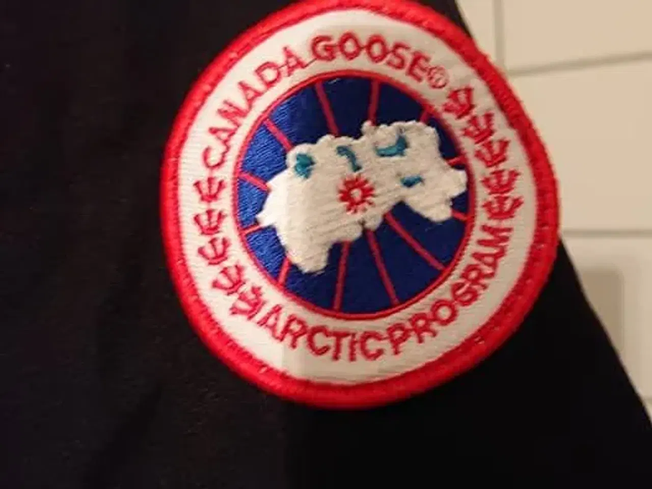 Billede 4 - Canada Goose  skal væk nu 