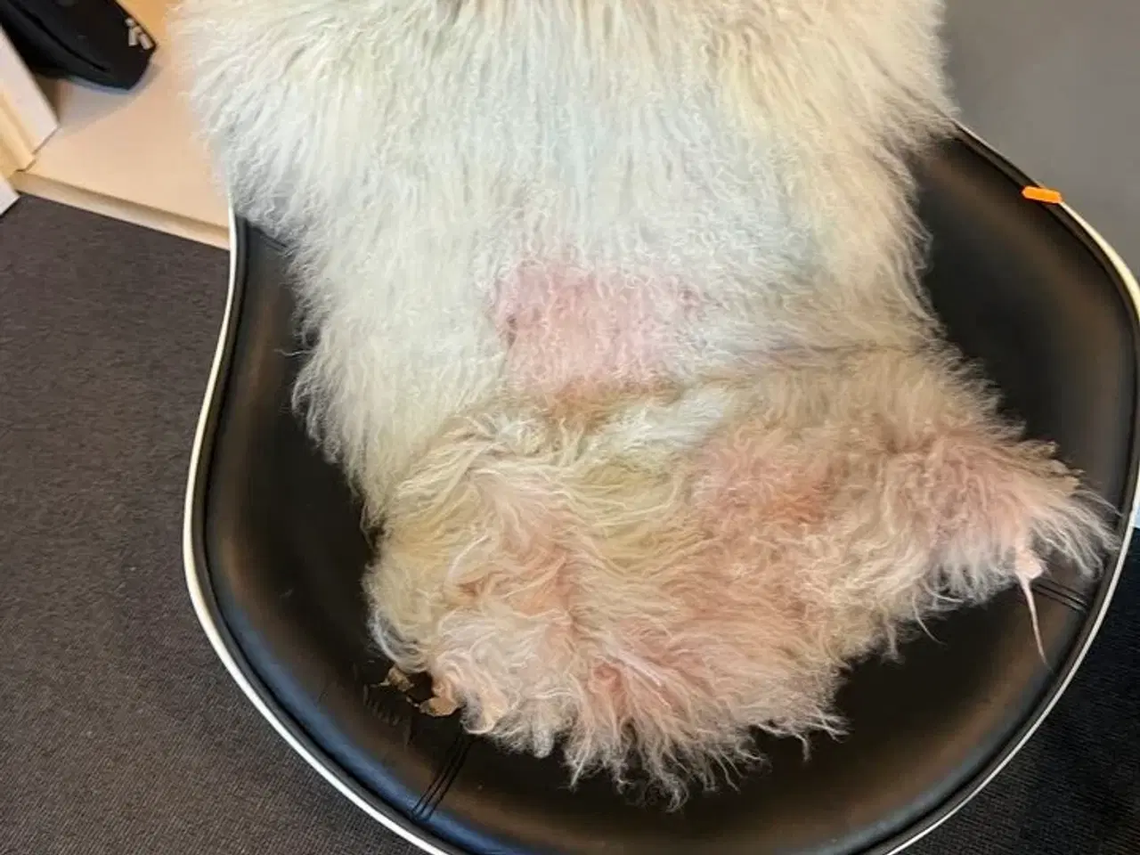 Billede 3 - 2 stk. drejebare lænestole, hvid ramme m. sort kunstlæder og sofabord