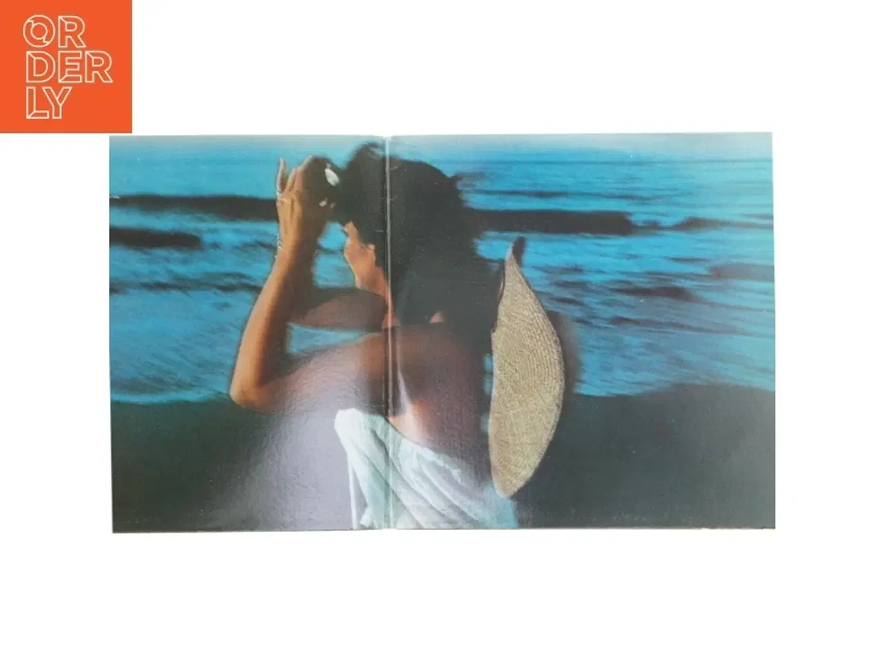 Billede 2 - Linda Ronstadt - Hasten Down the Wind LP