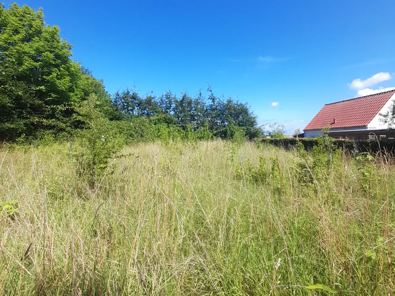 Billede 8 - Bygge grund 