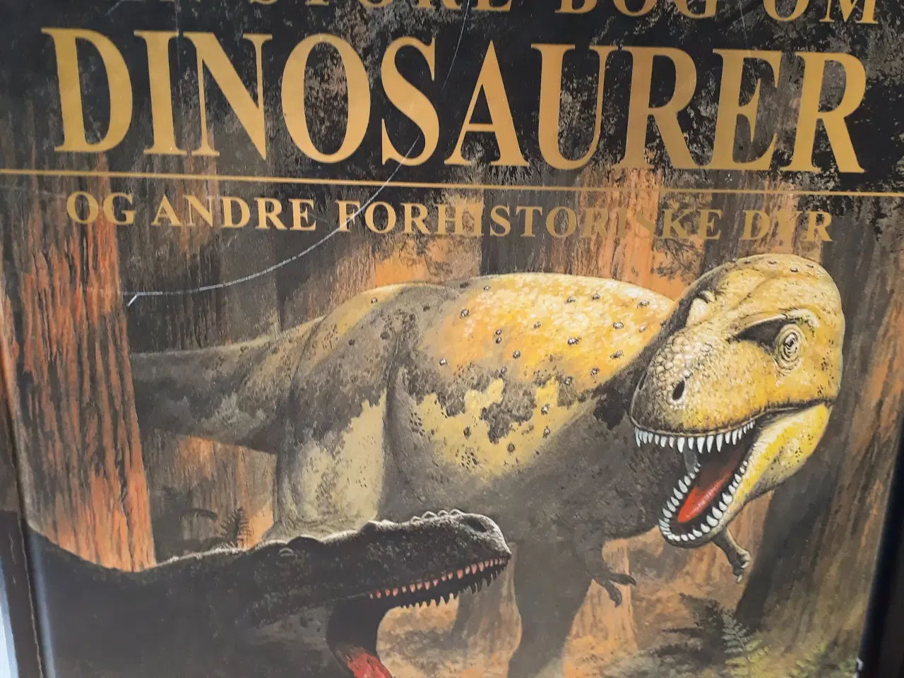 Billede 3 - 2 Dino Bøger, 6 Dinosaur