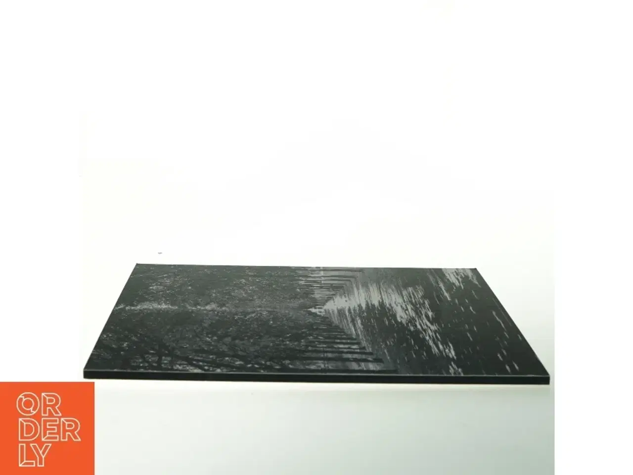 Billede 3 - Sort/hvid billede af en træallé (str. 32. x 24 cm)