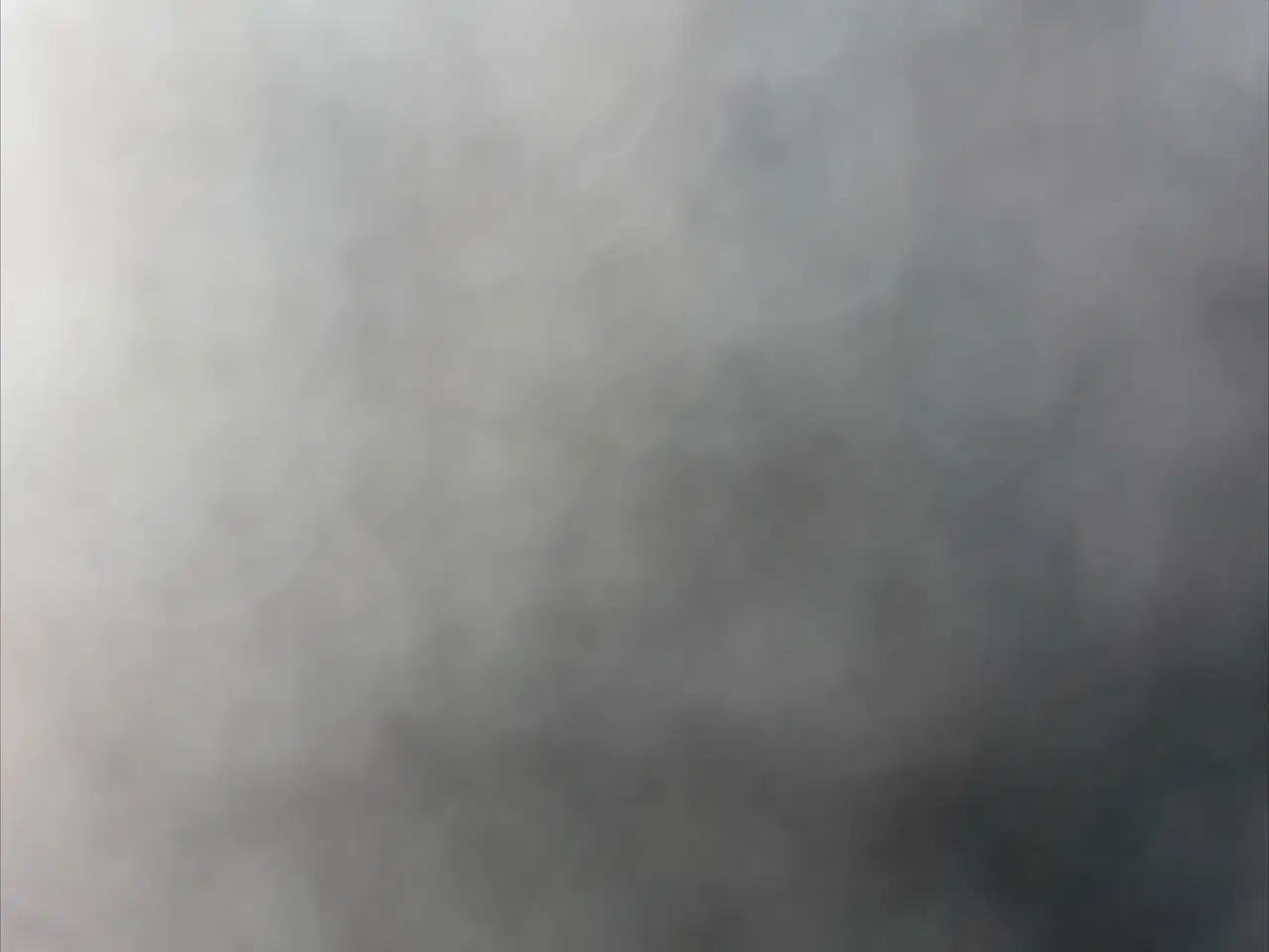 Billede 1 - Marsvin sælges