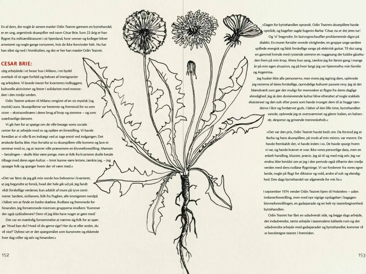 Billede 3 - Hvid som jasmin, om Iben Nagel Rasmussen biografi