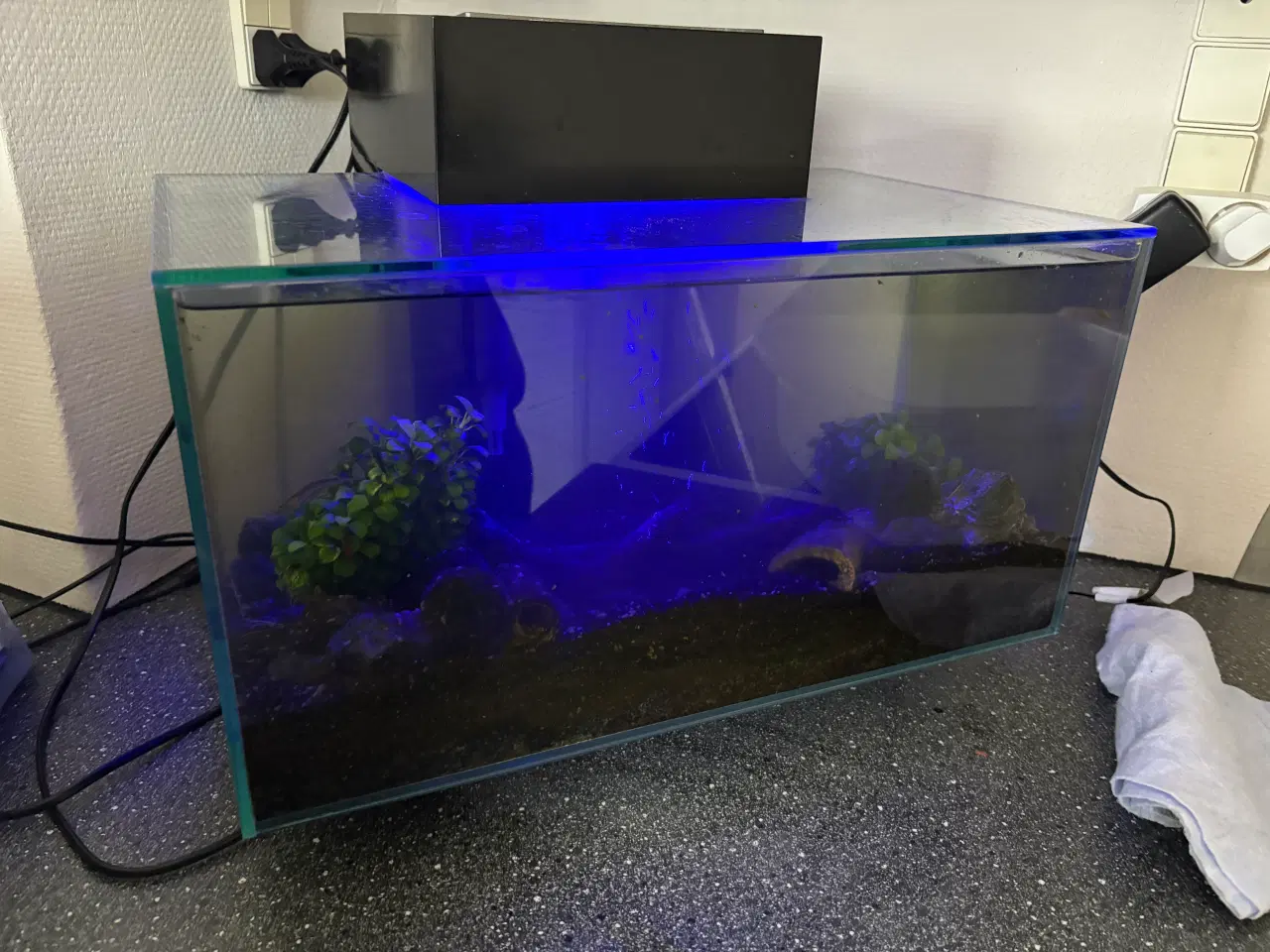 Billede 4 - Fluval edge 23l akvarie