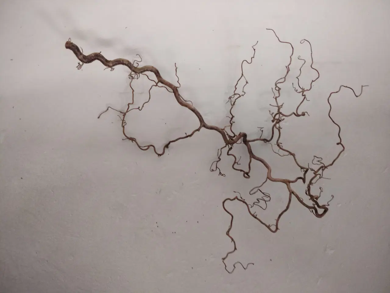Billede 1 - Troldegren