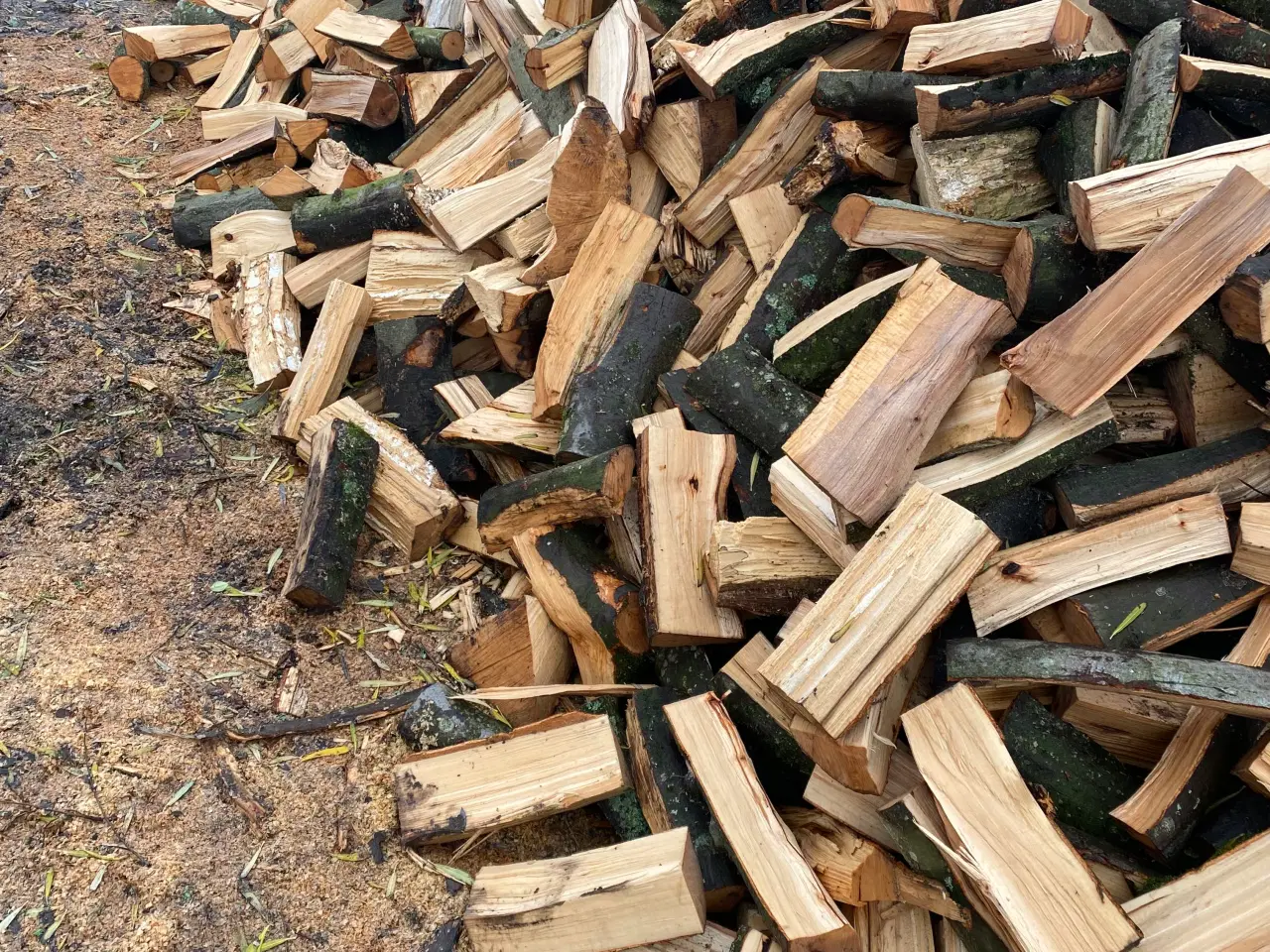 Billede 3 - Ny skovet bøgebrænde