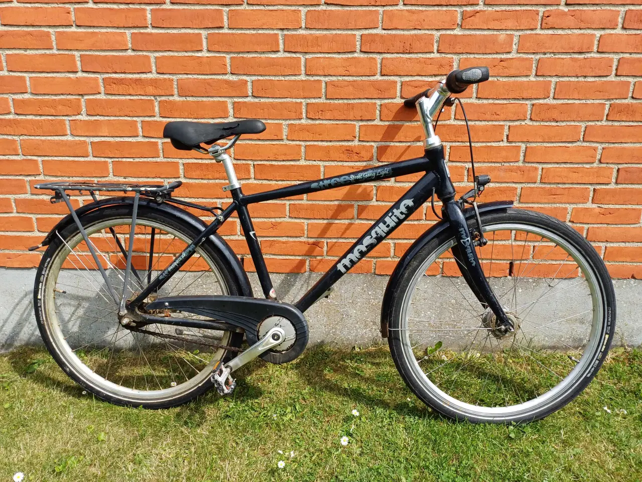 Billede 1 - Mosquito Street 