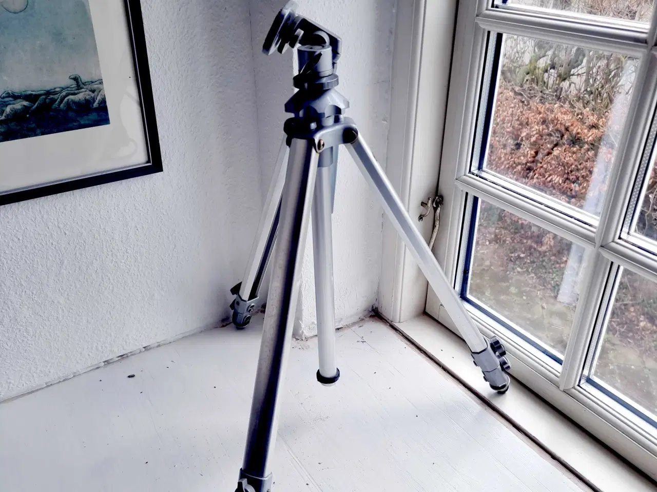 Billede 1 - Eiger kamera fotostativ ALUMINIUM 160 cm Høj