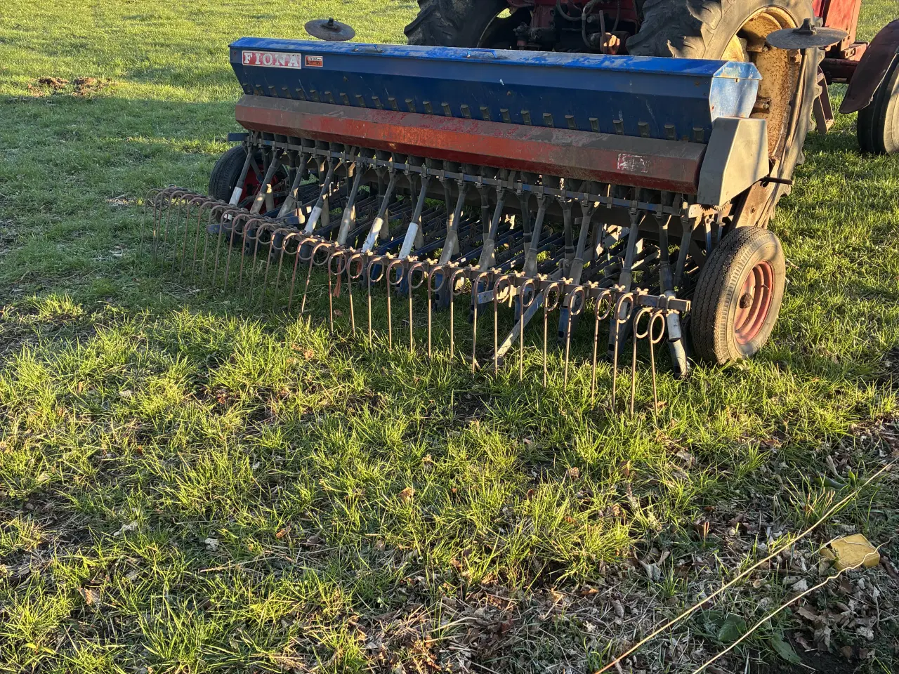 Billede 5 - 3 meters Fiona 