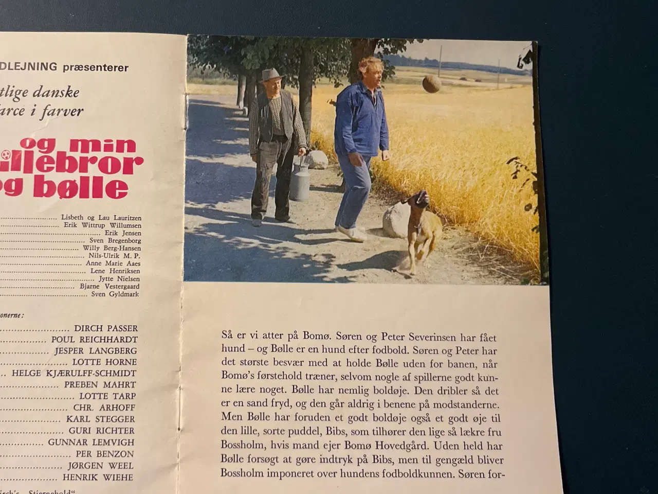 Billede 2 - Mig og min lillebror og bølle