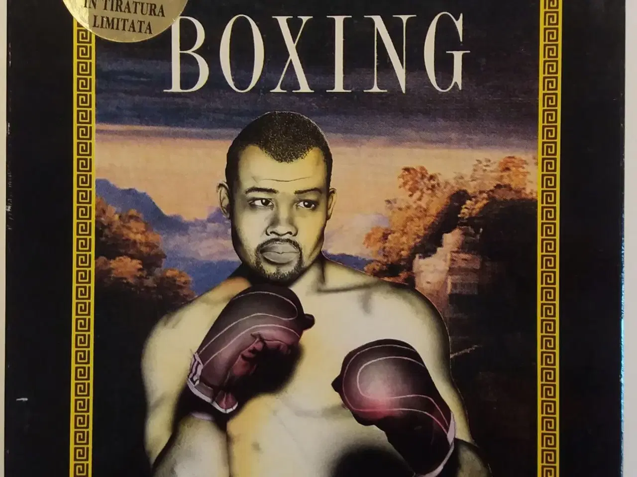 Billede 1 - 3D World Boxing 1992, til pc, action