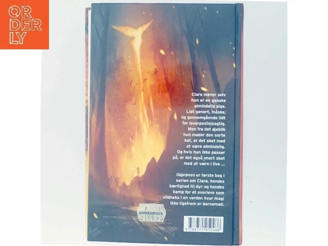 Billede 3 - Vildheks. Bind 1, Ildprøven af Lene Kaaberbøl (Bog)