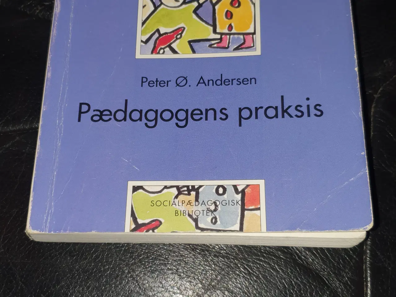 Billede 1 - Pædagogens praksis Studiebog 