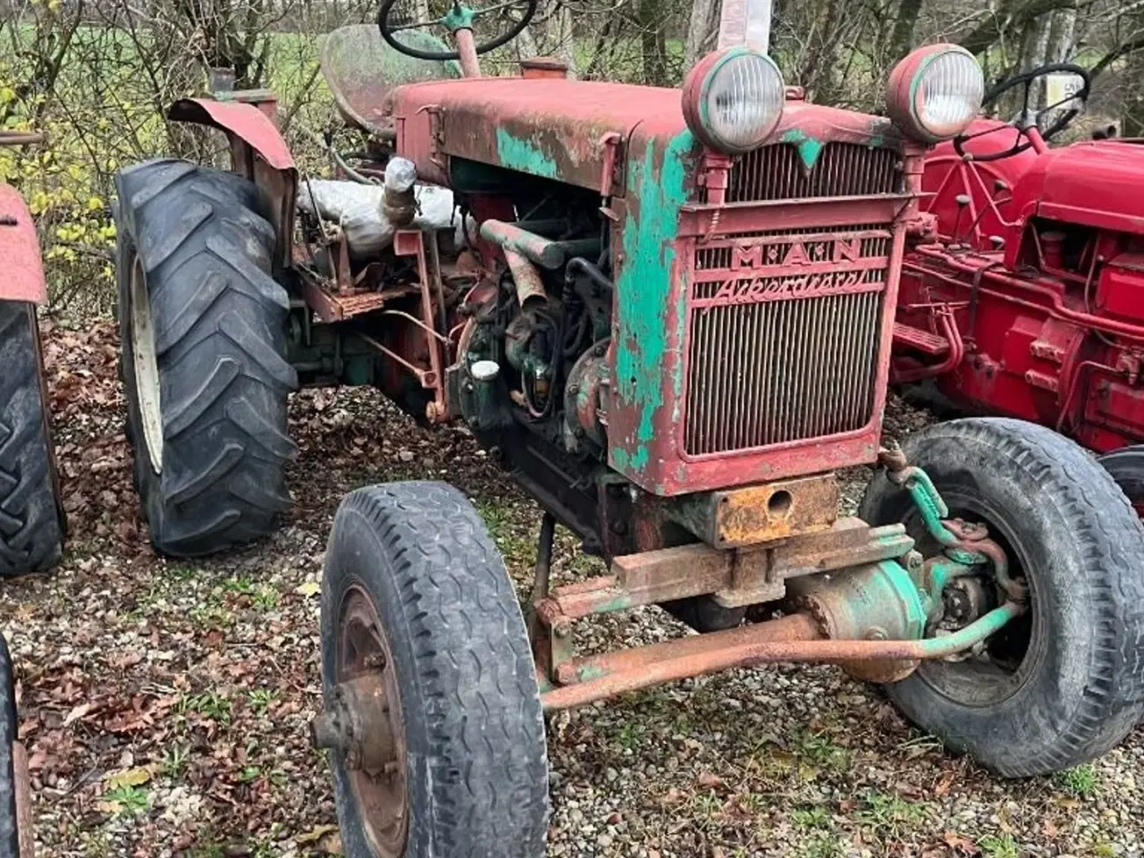 Billede 4 - MAN Acker Diesel Oldtimer Traktor