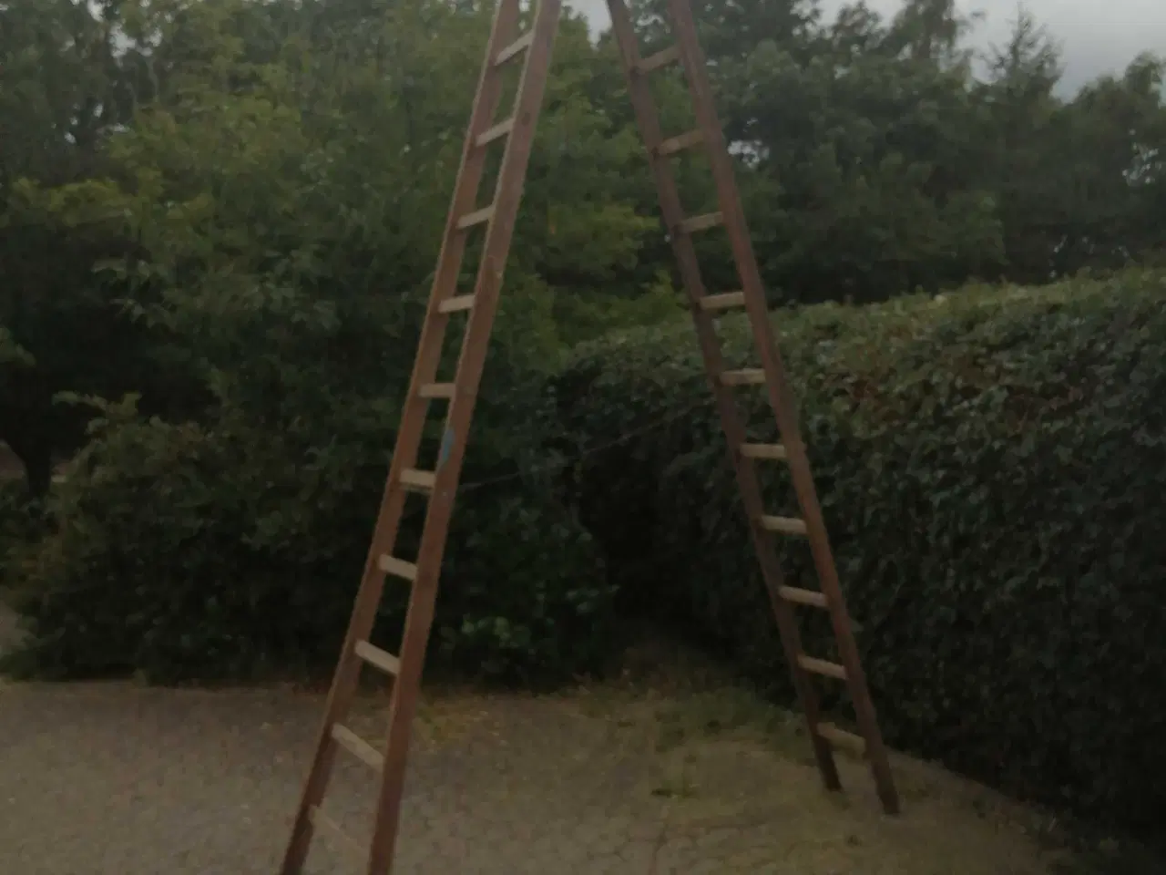 Billede 1 - Wienerstige 3,5 m træstige 7 m