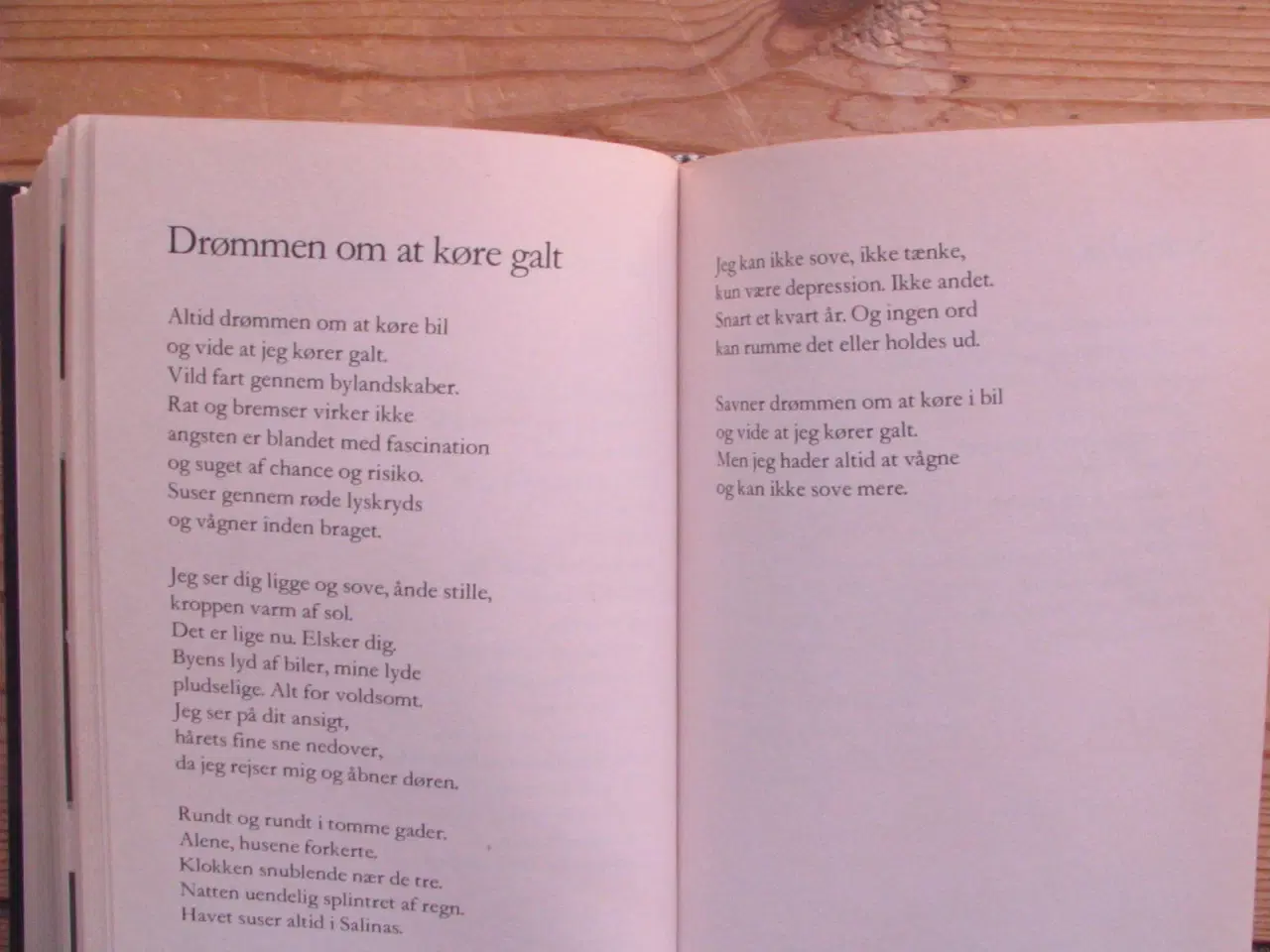 Billede 6 - Samlede Strunge. Digte 1978-85