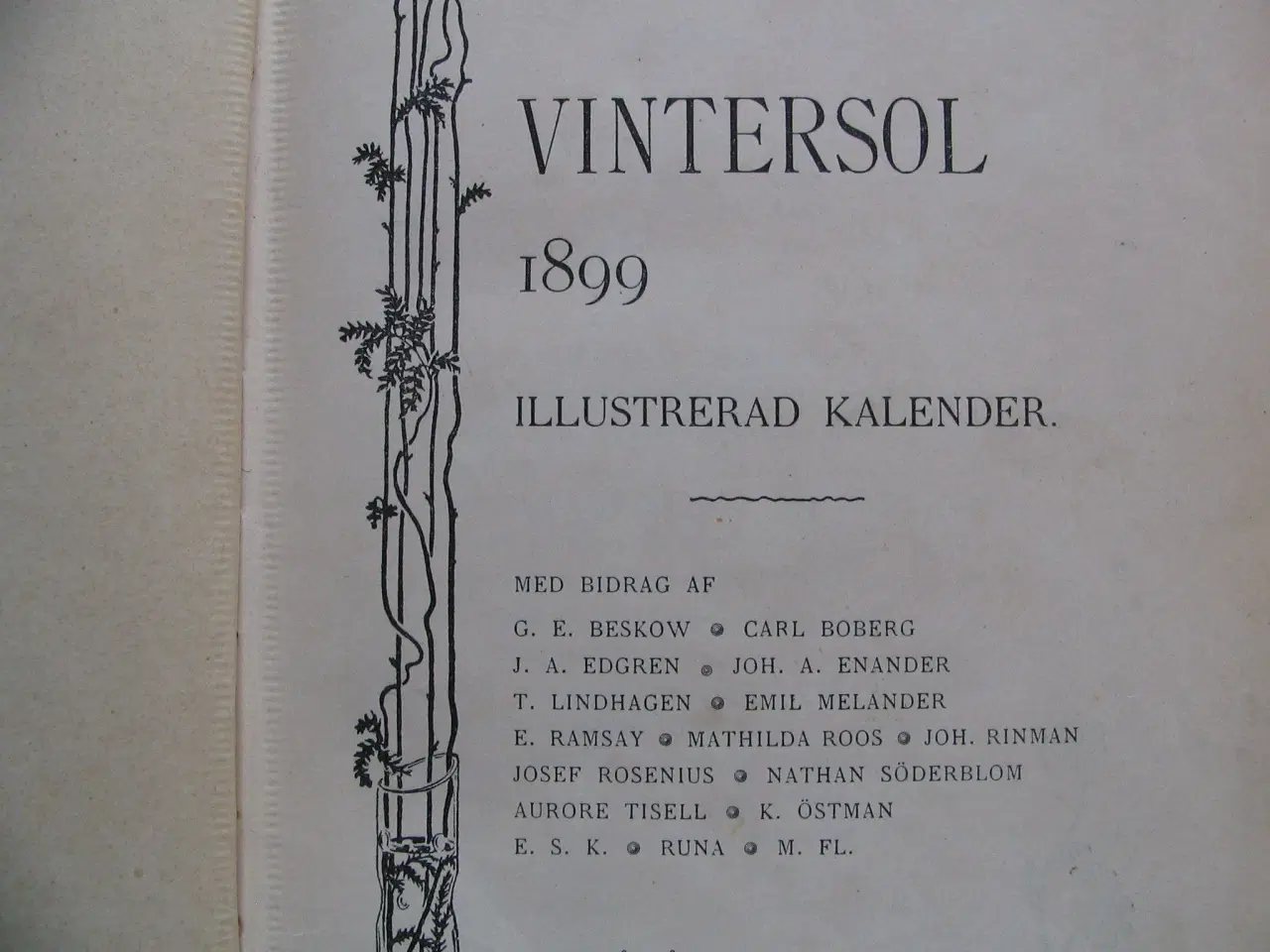 Billede 3 - Diverse svenske forfattere. Vintersol 1899