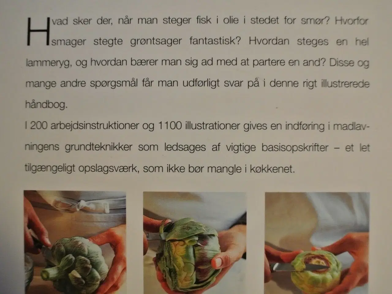 Billede 2 - gastronomisk grundbog, af james peterson