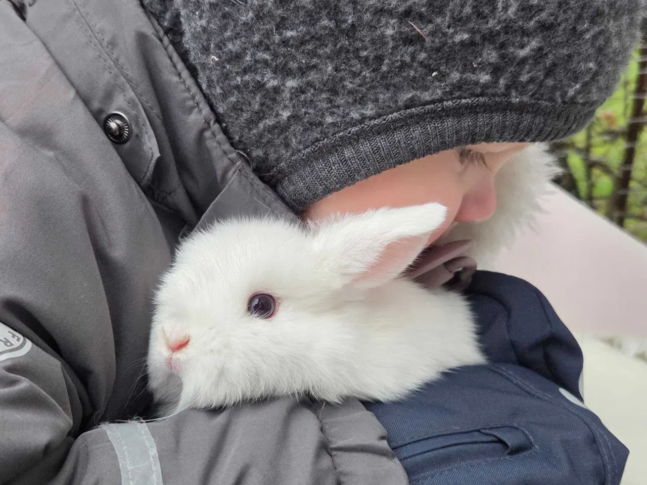 Billede 1 - Børnevenlig minilop klar i vinterferien