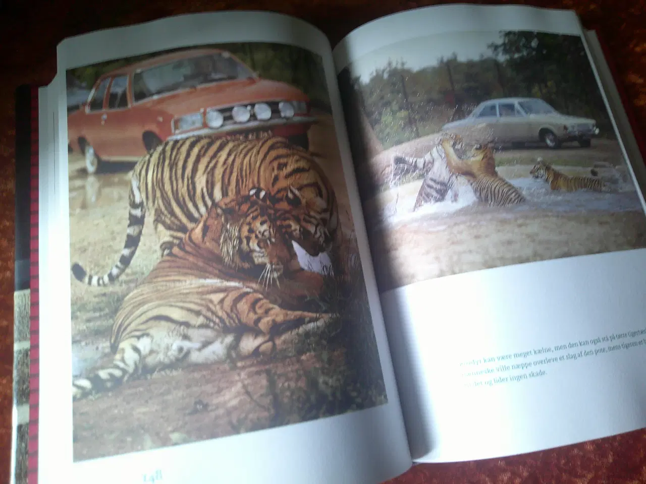 Billede 4 - Bag skodderne, Helle Stangerup