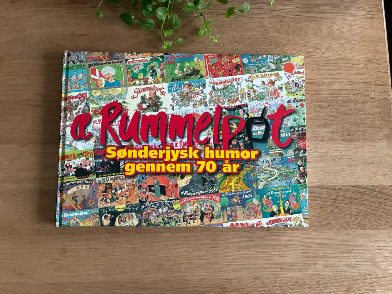 Billede 1 - æ Rummelpot - Sønderjysk humor gennem 70 år