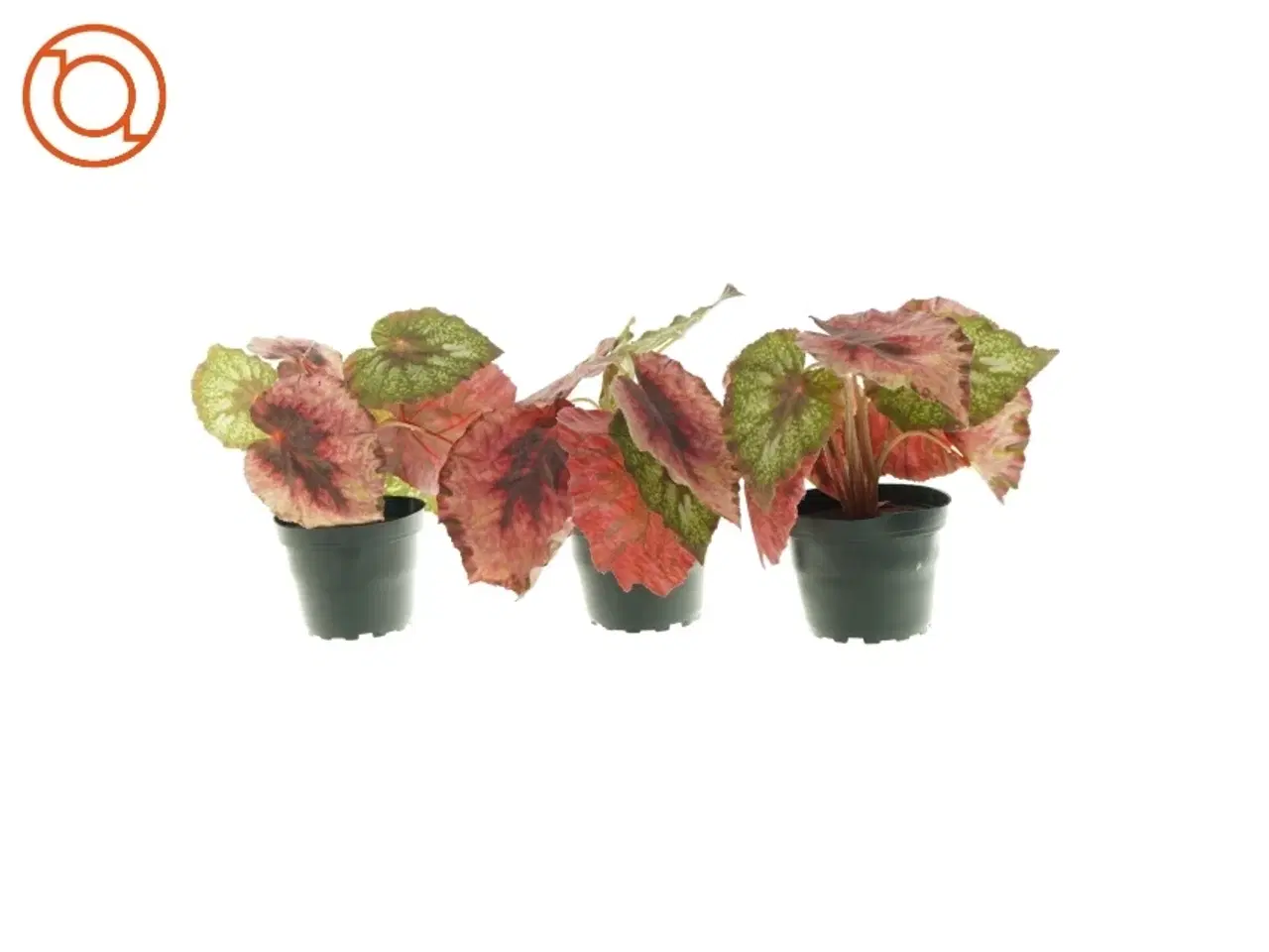 Billede 1 - kunstige planter 3 stk. (str. 20 x 8cm)