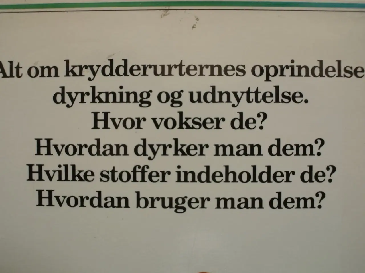 Billede 4 - kommas krydderurteleksikon, af b. hlava og d. lans