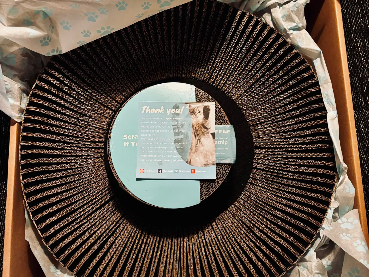 Billede 5 - Kat Lounge