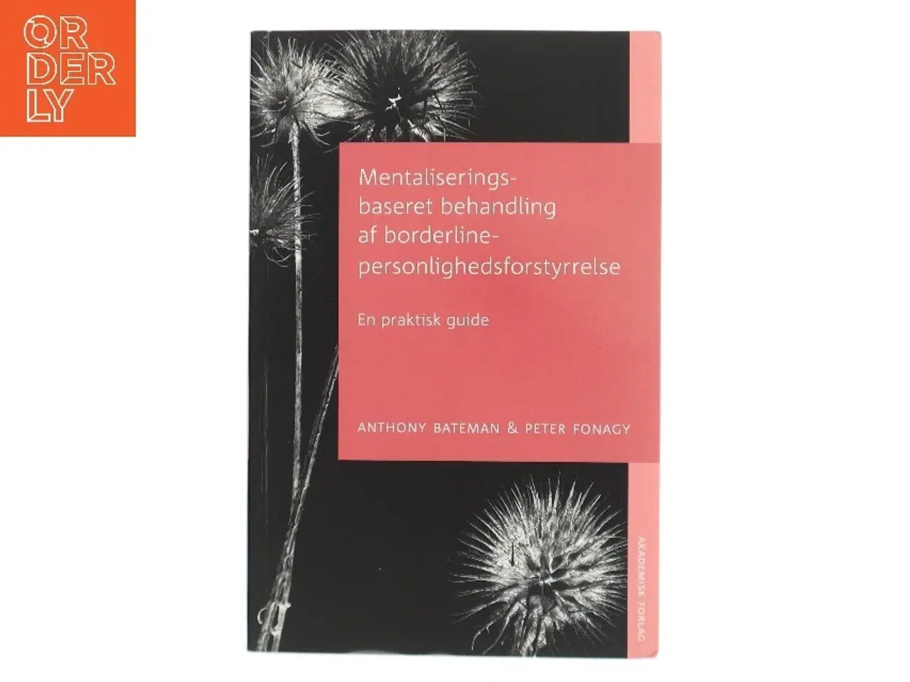 Billede 1 - Mentaliseringsbaseret behandling af borderline-personlighedsforstyrrelse : en praktisk guide (Bog)