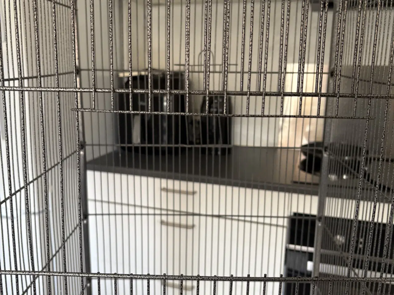 Billede 2 - Fuglebur