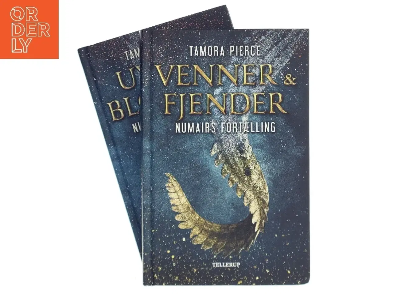 Billede 1 - Numairs Fortælling bind 1 & 2 af Tamora Pierce (Bog)