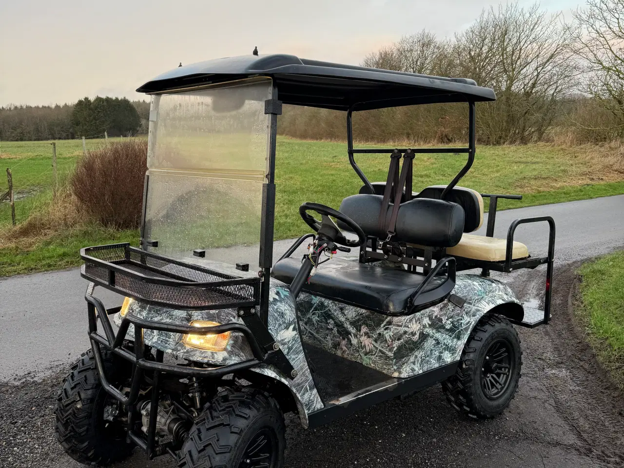 Billede 1 - Utv Eagle Hunter golfvogn/jagt