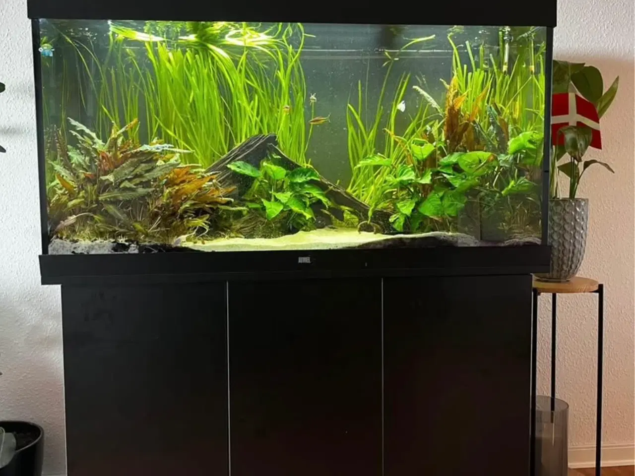 Billede 1 - Juwel akvarie 350 liter