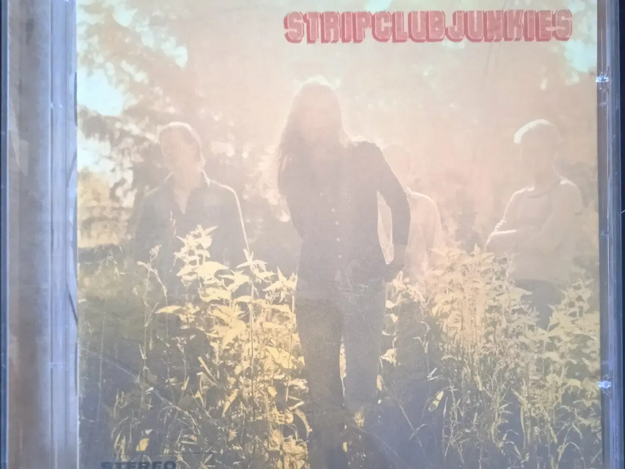 Billede 1 - Stripclubjunkies