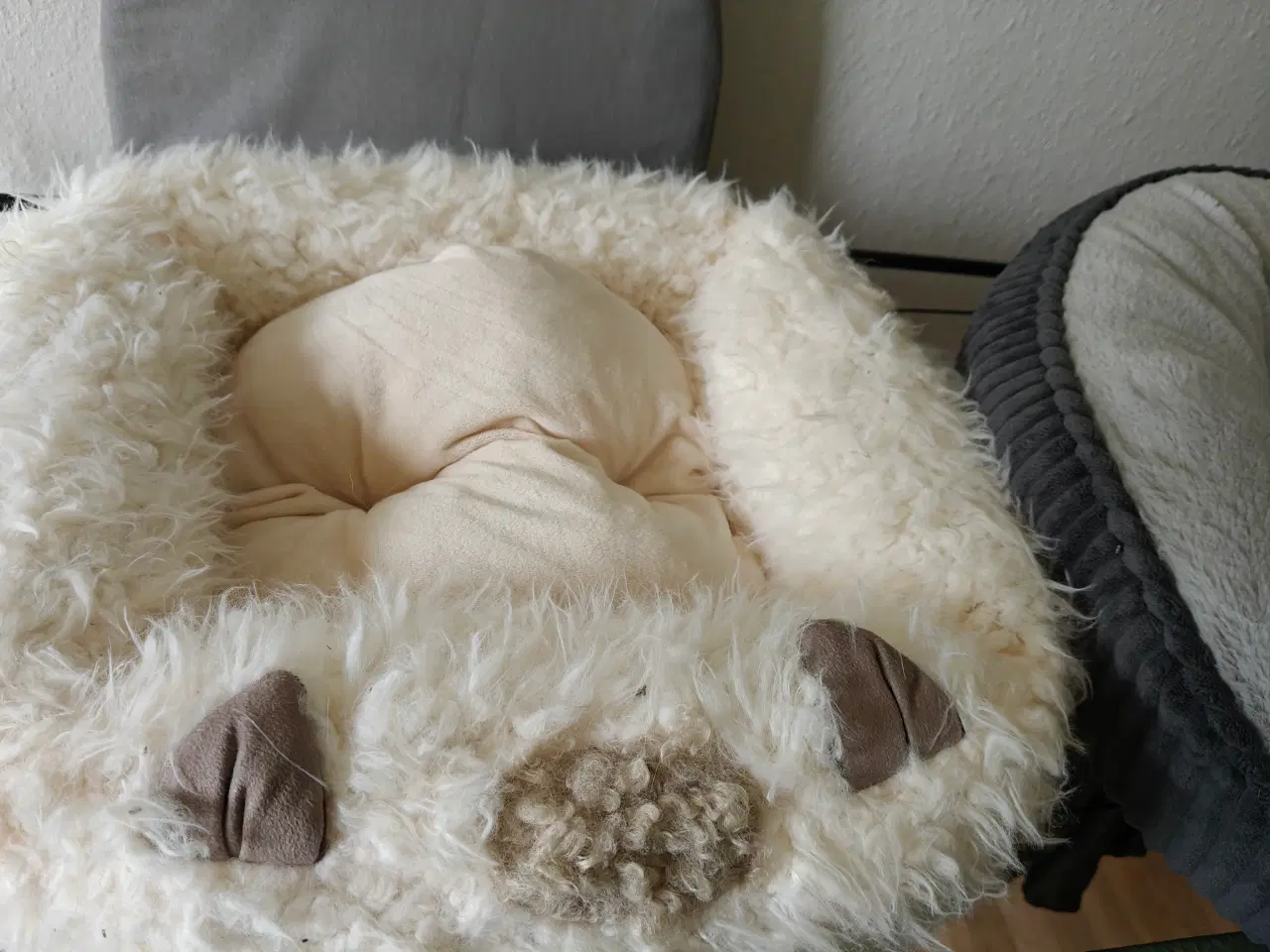 Billede 1 - Katte hunde seng 
