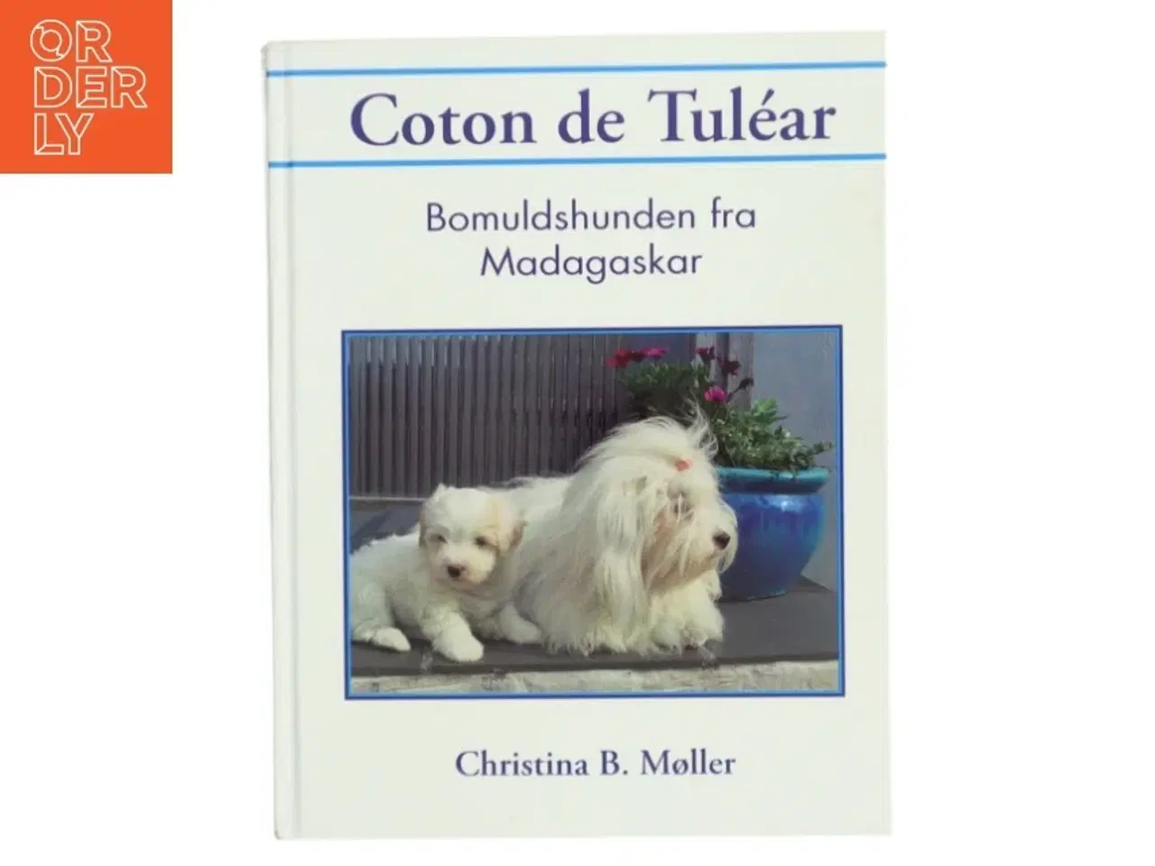 Billede 1 - Coton de Tuléar : bomuldshunden fra Madagaskar af Christina B. Møller (Bog)
