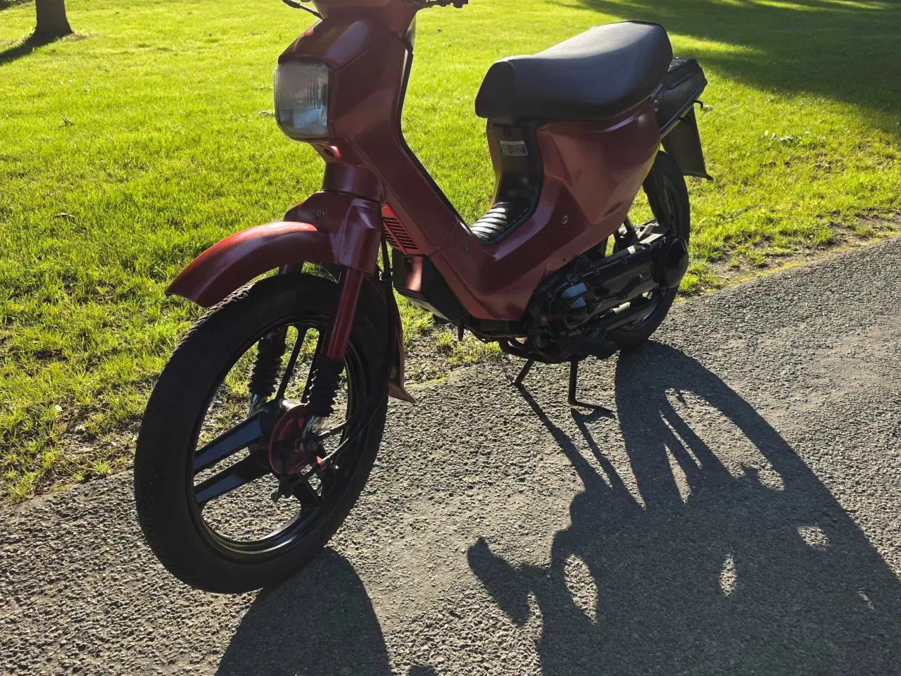 Billede 2 - Honda wallaroo 