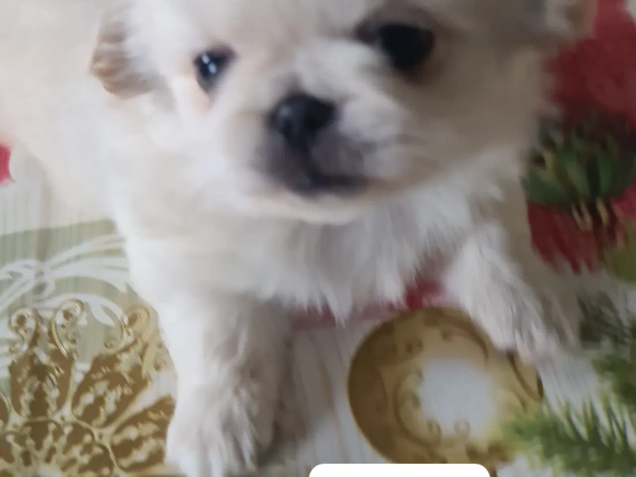 Billede 9 - 2 lækkere drenge