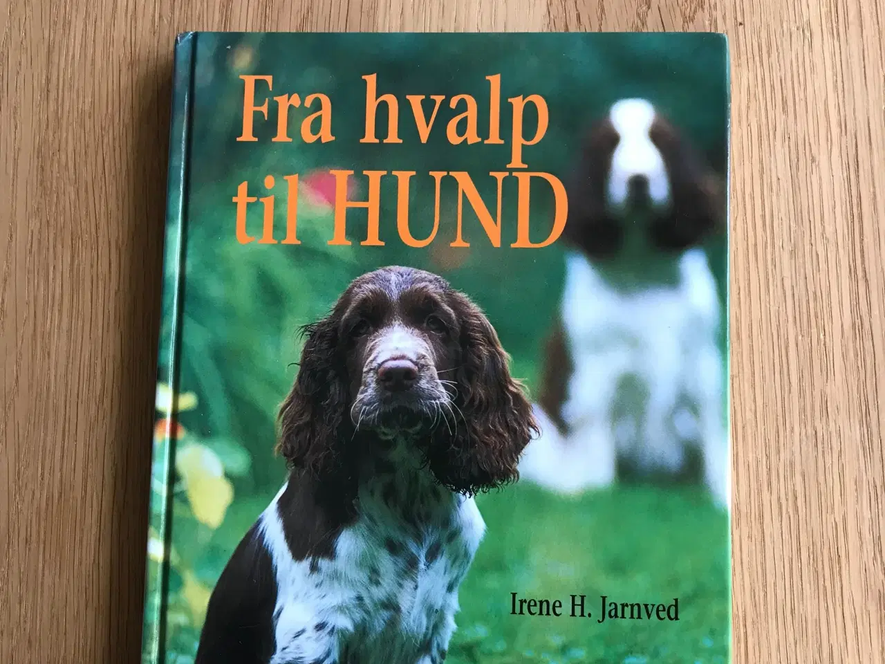 Billede 1 - Fra hvalp til HUND  af Irene H. Jarnved