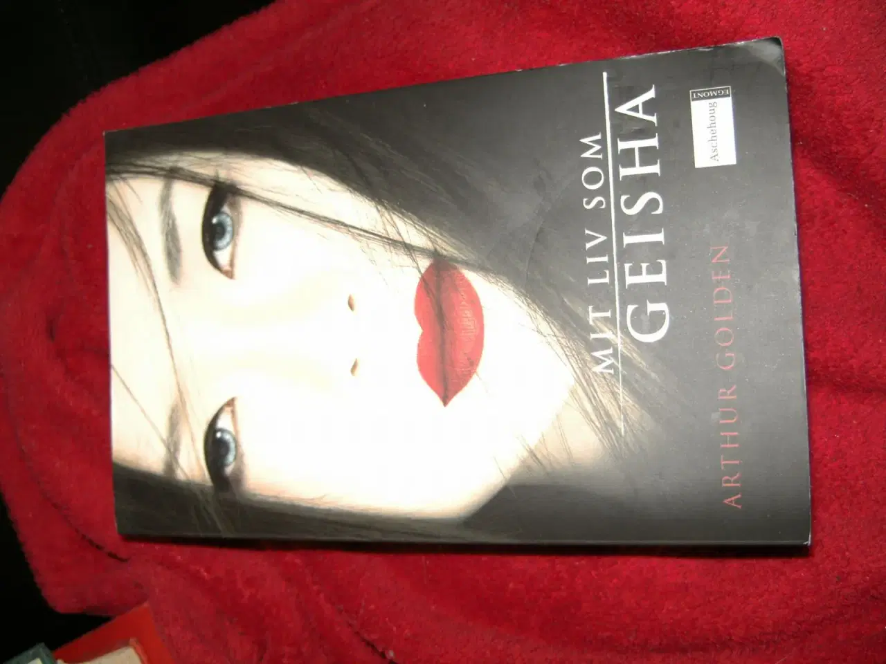Billede 1 - mit liv som geisha