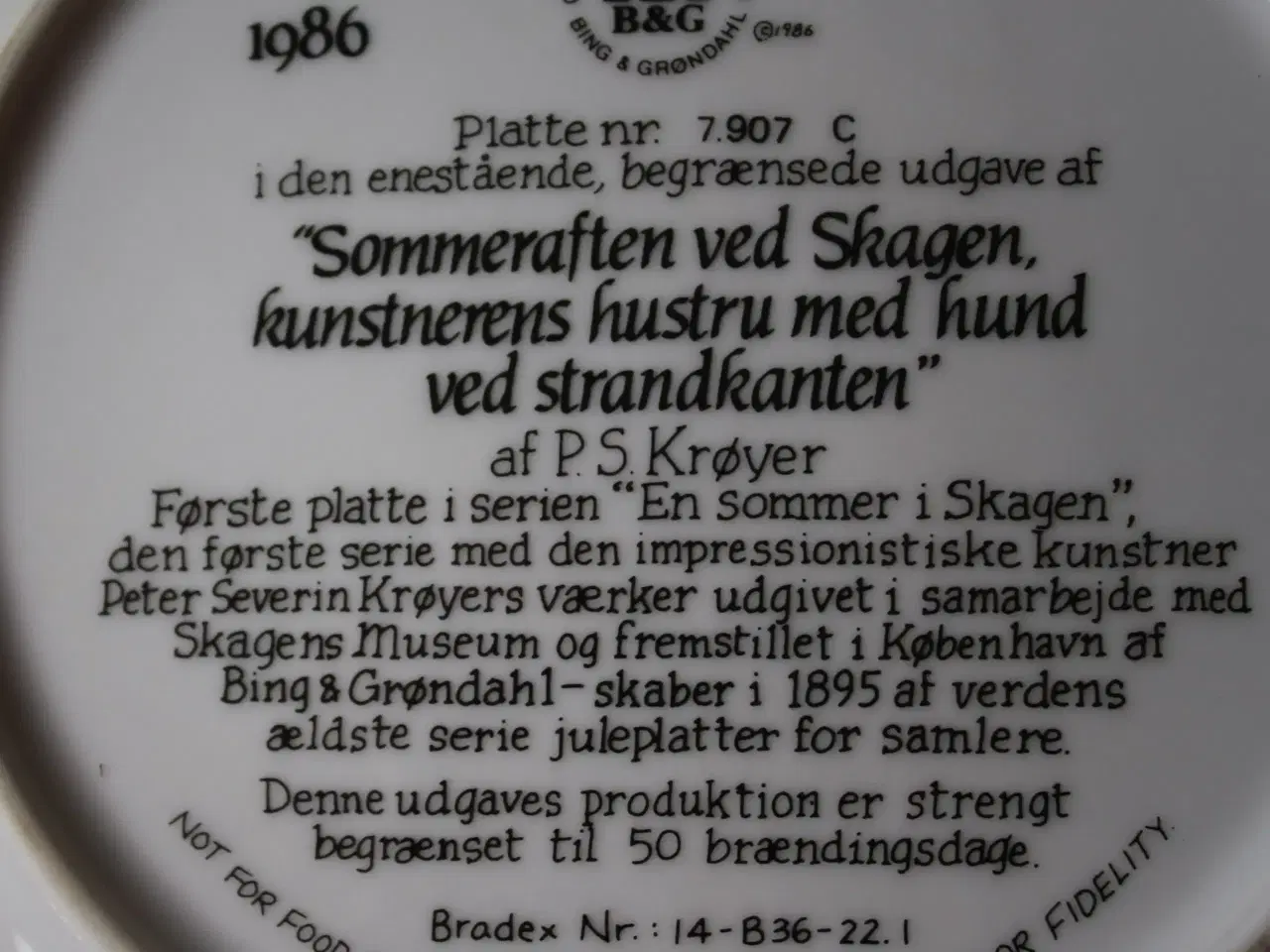 Billede 3 - 4 Platter "En sommer i Skagen" 