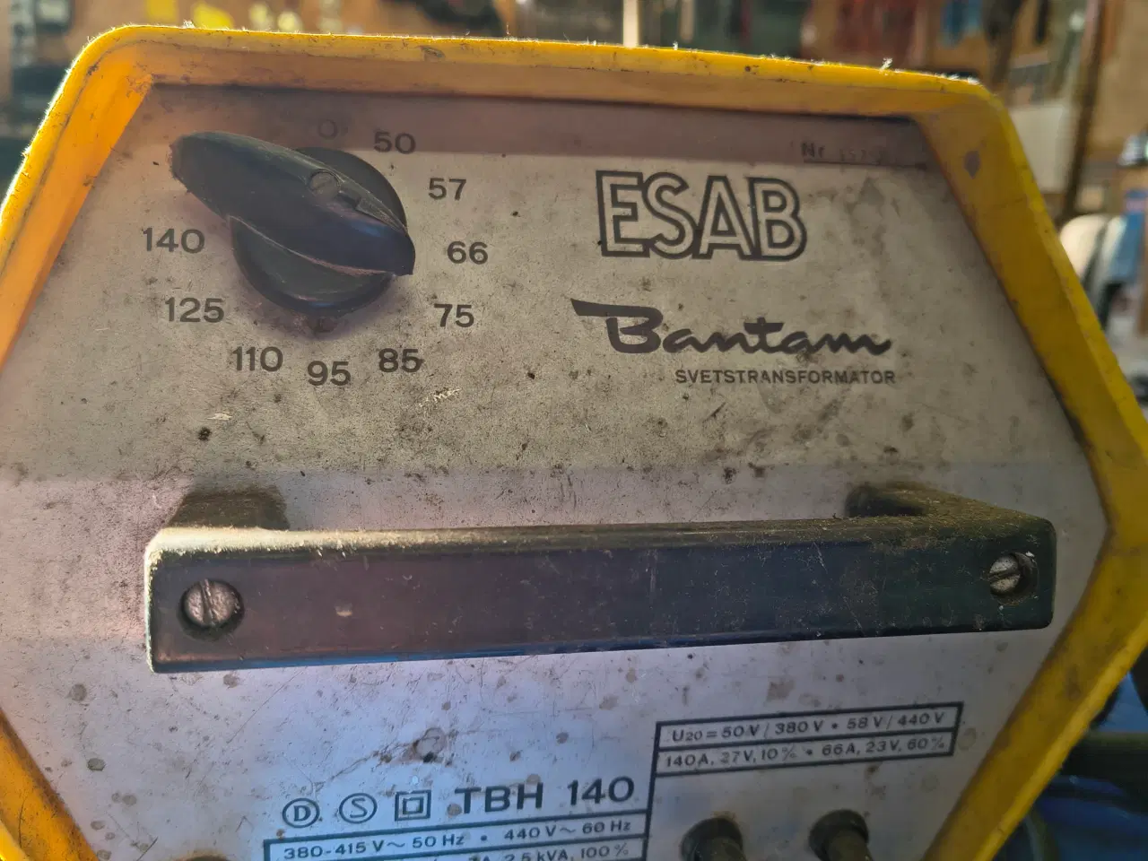 Billede 2 - Pindsvejser