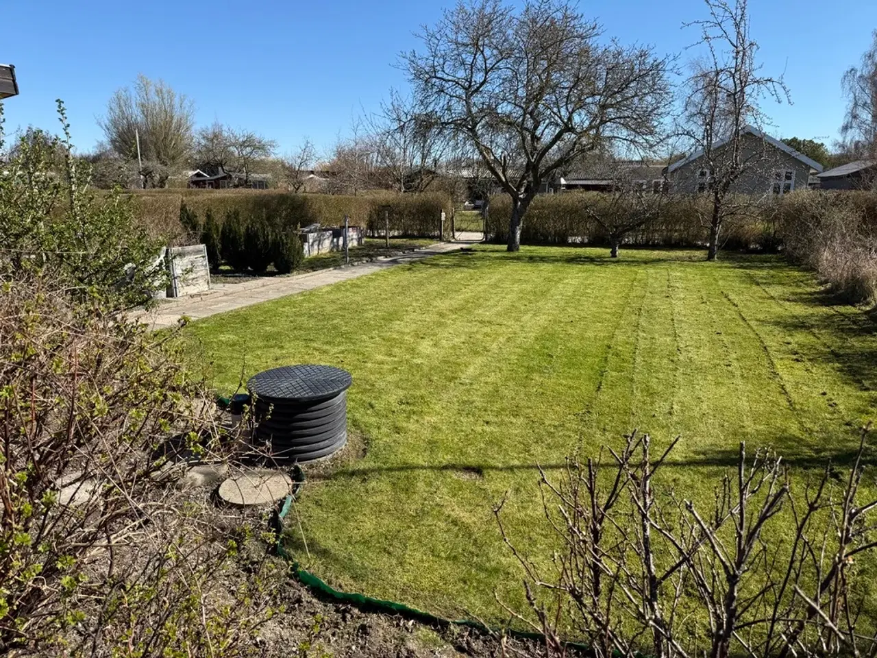 Billede 8 - Dejlig oase i Odense C - Kolonihave i Baagø