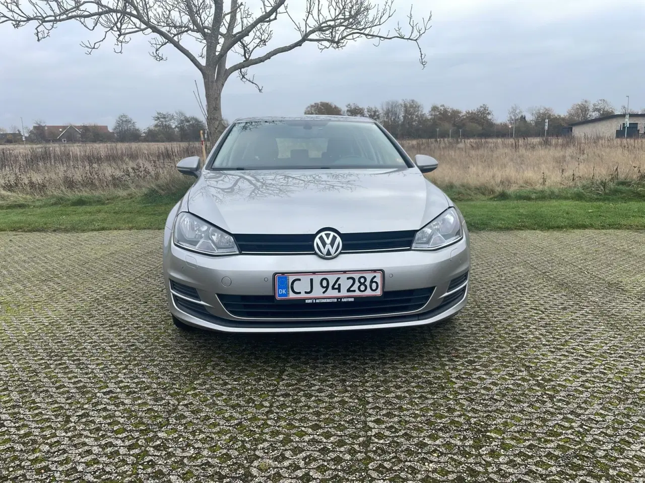 Billede 2 - VW Golf VII 1,4 TSi 122 Edition 40 BMT