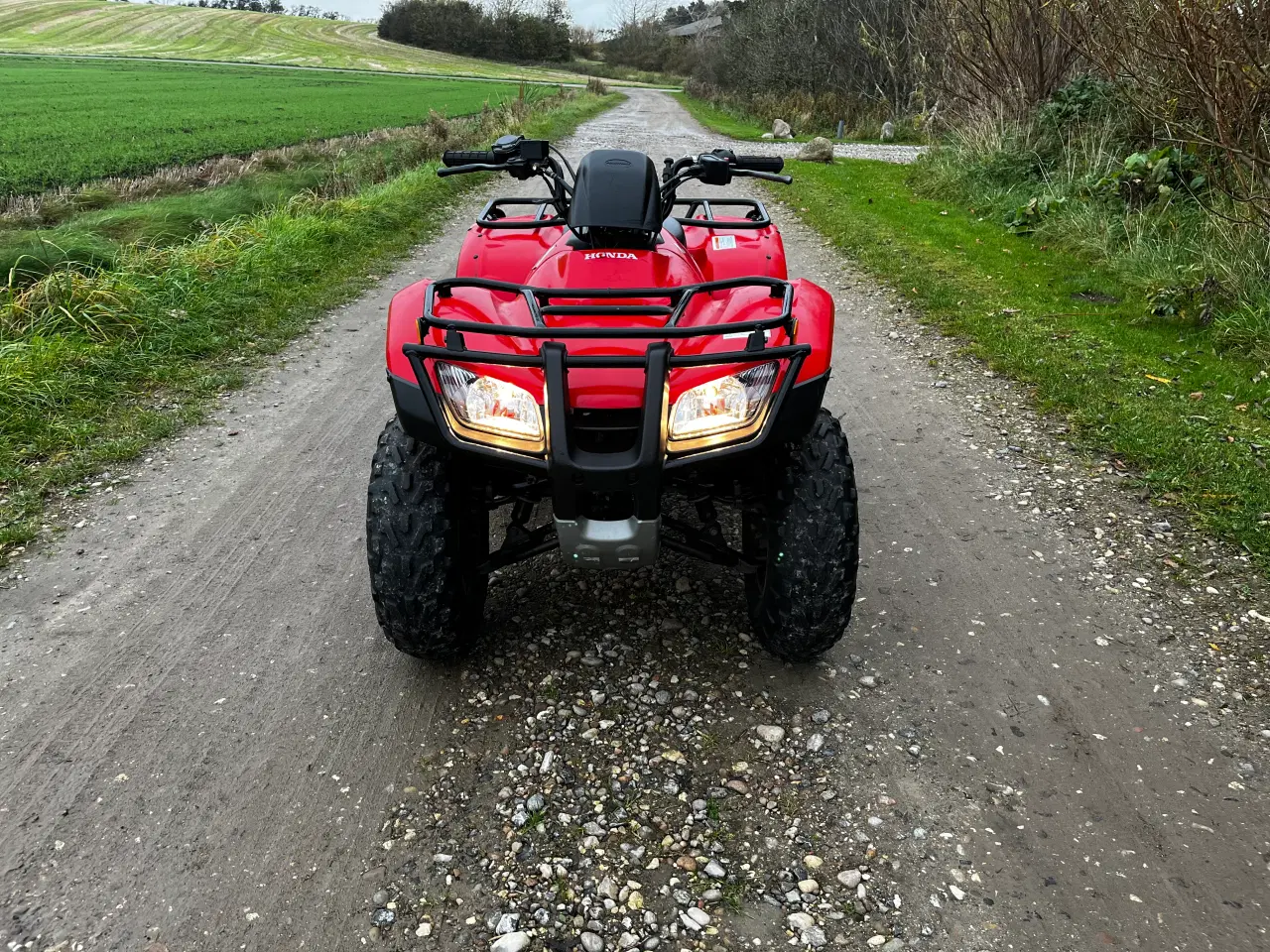 Billede 10 - Honda TRX 250 Tm