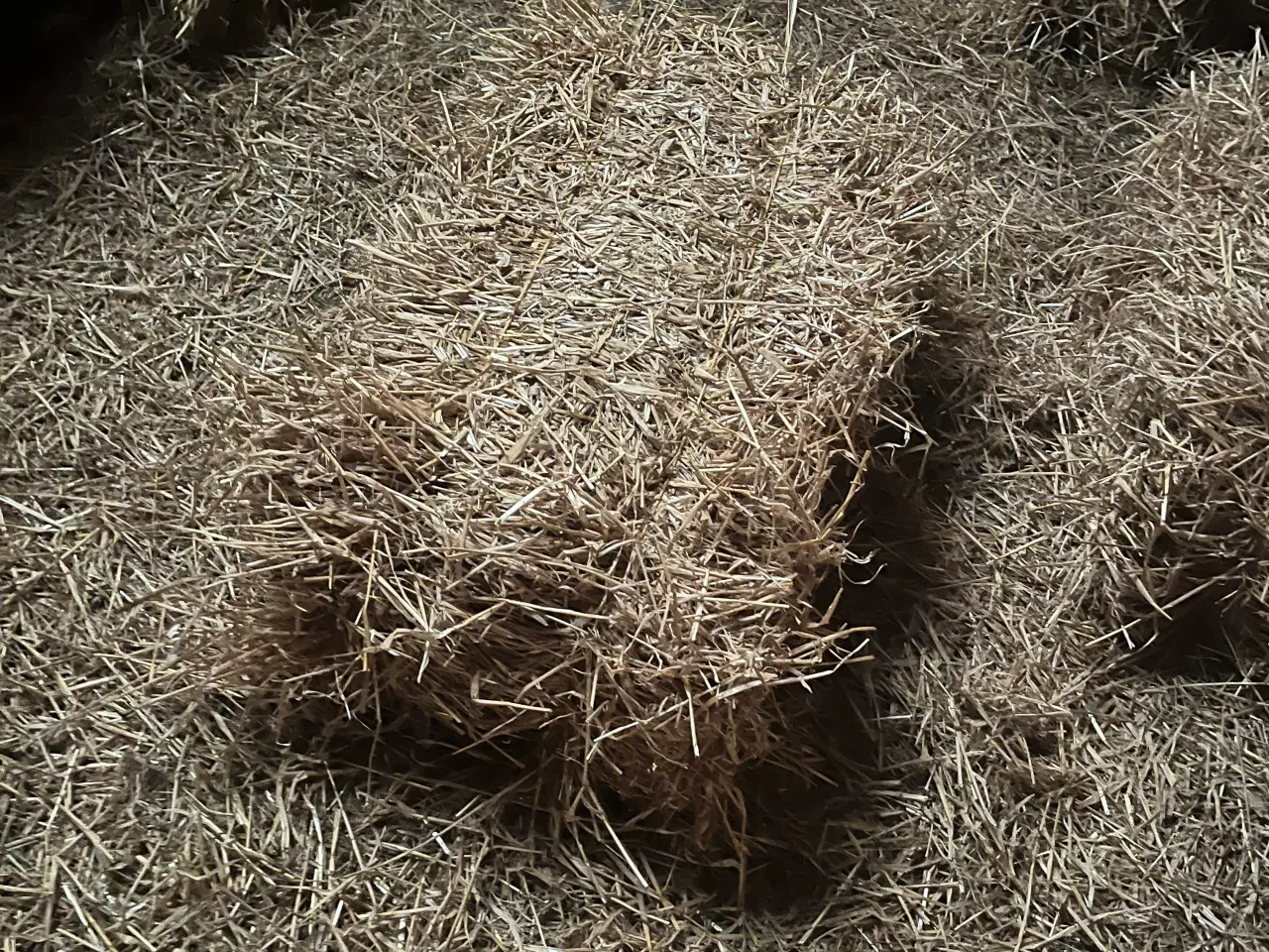 Billede 2 - Byg halm