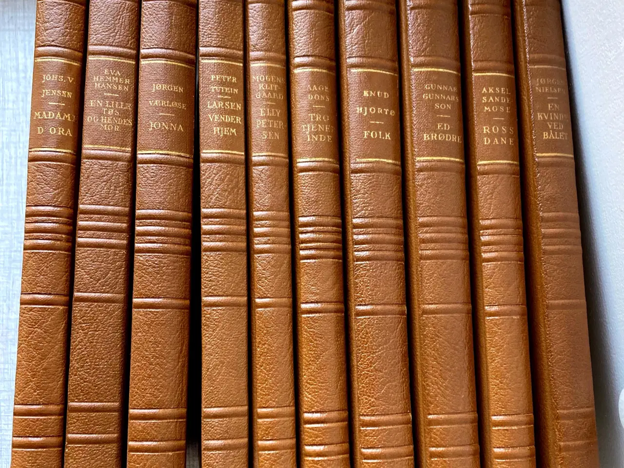 Billede 1 - Indbundne danske klassikere