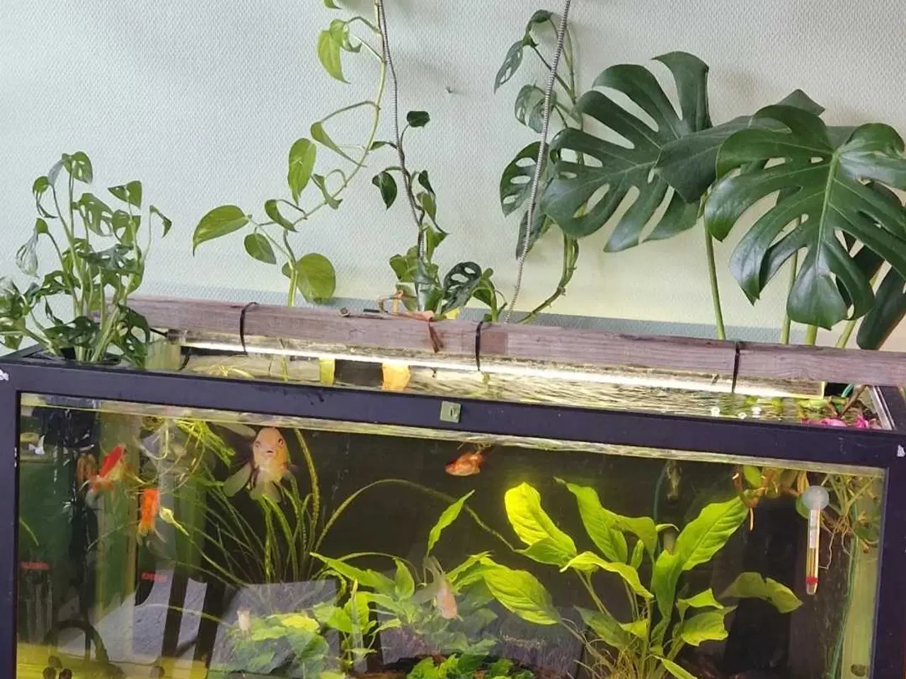 Billede 1 - Akvarie tilbehør